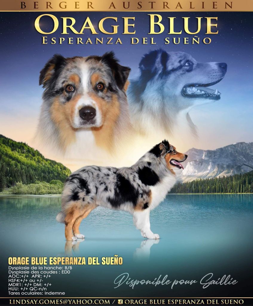 Orage blue Esperanza Del Sueño