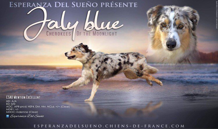 Jaly blue cherokees of the moonlight